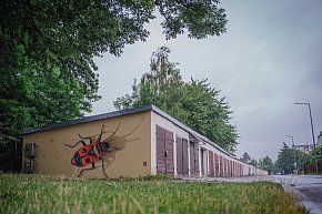 Mural przy ulicy Rybickiego w Gorlicach-6042