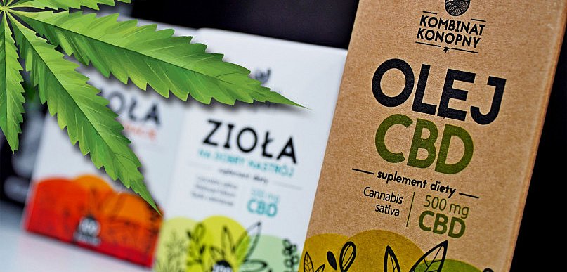 Co to jest CBD i w czym mogą nam pomóc konopie?