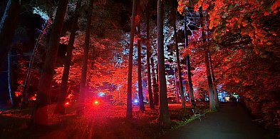 Patriotyczna aleja światła. To przedsmak Festiwalu Światła [FOTO]-33600