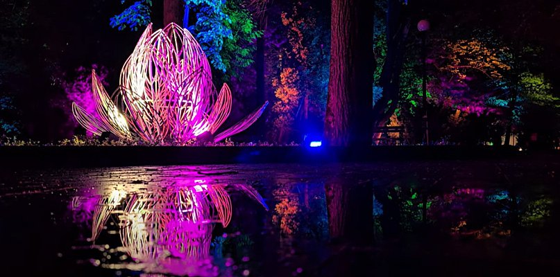 Zobaczcie Festiwal Światła w Parku na naszym filmie! [WIDEO] - 33620