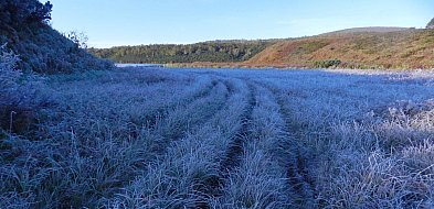 Pierwszy stopień ostrzeżenia meteo. Będzie zzzimno!-33714