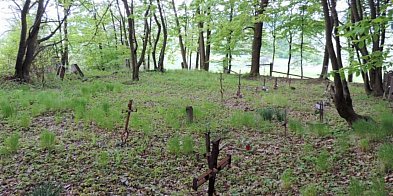 Gmina Biecz pozyskała 200 tys. zł na renowację historyc-33705