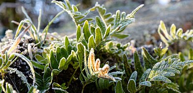 Alert meteo. Kolejna zzzimna noc przed nami-33985