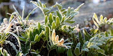 Alert meteo. Kolejna zzzimna noc przed nami-33985