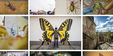 Nowe murale, mapki i warsztaty. Gorlice edukują przez sztukę uliczną-34668