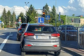 Egzamin na prawo jazdy będzie inny. Od 1 lipca nowe zasady-35030