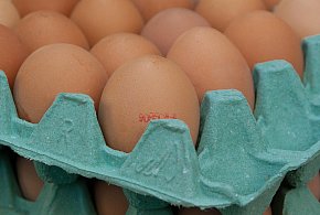 Salmonella na jajach znanej marki. Nie jedz, jeśli masz je w lodówce!-35193