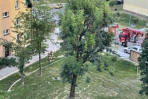 Gorlice. Akcja straży pożarnej w bloku przy ul. Słonecznej-35279