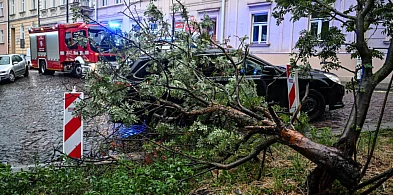Straż pożarna: 1607 interwencji w związku z burzami [WIDEO]-35378