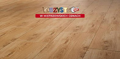 Mistrzowskie ceny wjeżdżają do PSB Mrówka w Gorlicach! Zobacz to!-35412