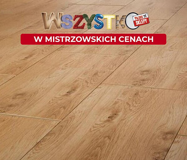 Mistrzowskie ceny wjeżdżają do PSB Mrówka w Gorlicach!  - 35412