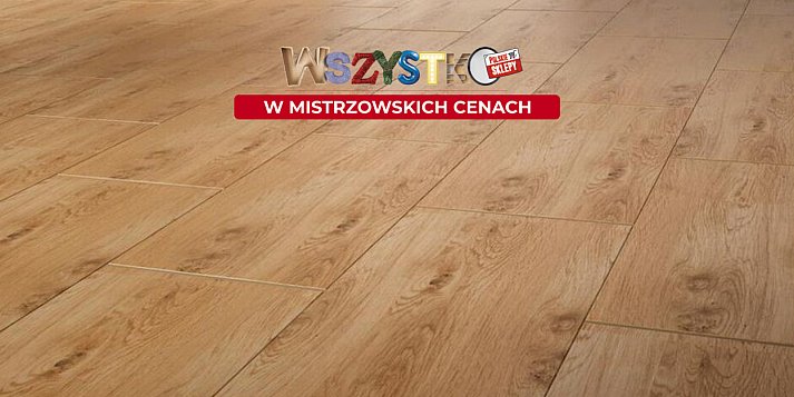 Mistrzowskie ceny wjeżdżają do PSB Mrówka w Gorlicach! Zobacz to!