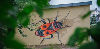 Kowal bezskrzydły już czuwa na Rybickiego. Gdzie pojawią się kolejne murale?-35457