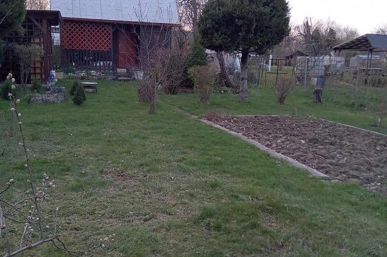 zdjecie ogloszenia