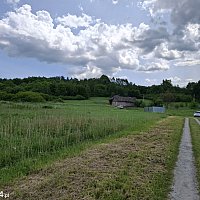zdjecie ogloszenia
