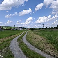 zdjecie ogloszenia