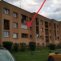 zdjecie ogloszenia