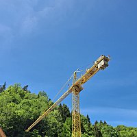 zdjecie ogloszenia