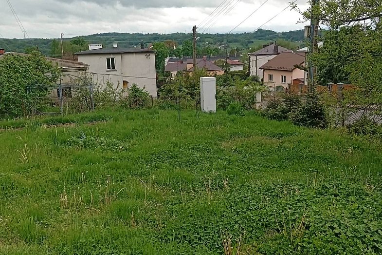 zdjecie ogloszenia