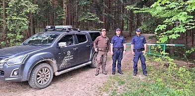 Policjanci i leśnicy patrolują lasy. Trwają wzmożone kontrole
