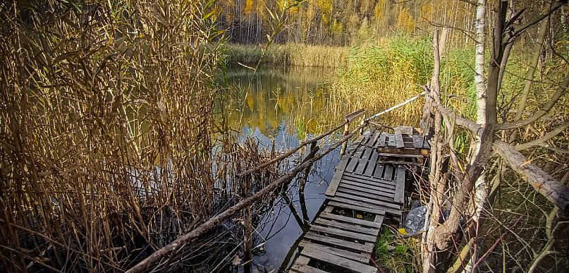 Czy to Mazury? Nie, to niemal centrum Gorlic! [FOTO]