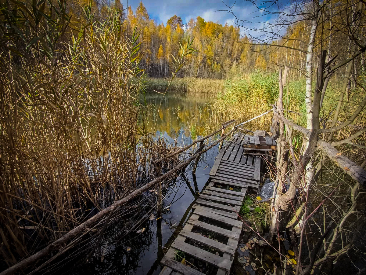 fot. Tomasz Wójtowcz / Gorlice24