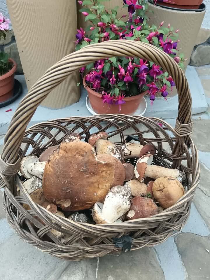 fot. nadesłane przez czytelniczkę Ewelinę